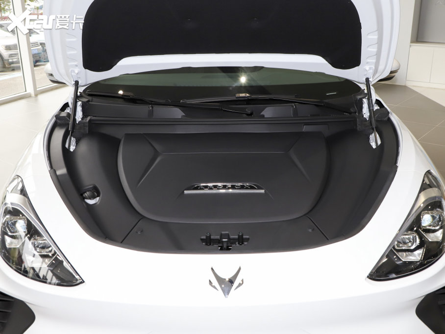 2022O T(ARCFOX T) 480S 175kW