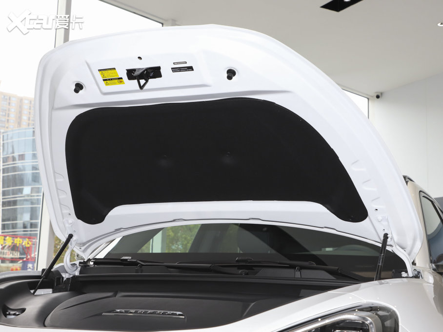 2022O T(ARCFOX T) 480S 175kW