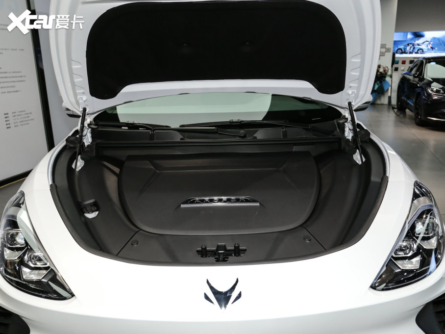 2022O T(ARCFOX T) 480S 160kW