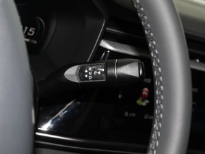 2022款480S+ 175kW 换挡杆