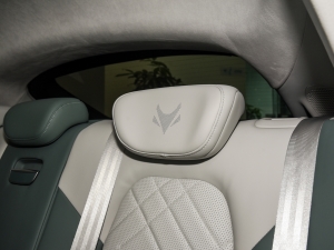 2023ɭְ 735E+ 175kW g