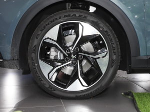 2023款森林版 688E+ 160kW 轮圈