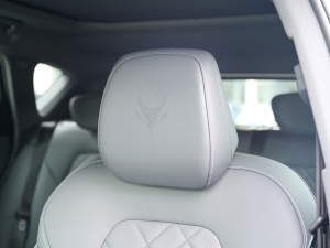 2023ɭְ 688E+ 175kW g