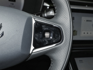 2025688MAX 160kW п؅^