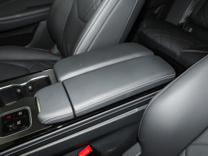 2025688MAX 160kW п؅^