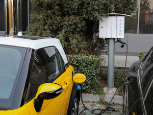 2017�������� ����