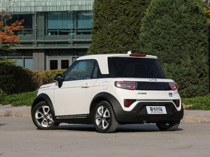 2017�������� ���45��