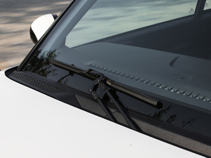 2017�������� ��ˢ