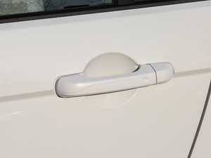 2017�������� ���{�T����