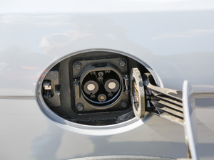 2017�������� �������^