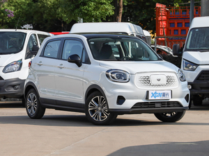 2020400 (bio)(zhn) w^