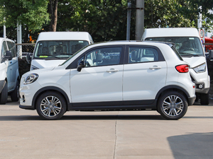 2020400 (bio)(zhn) (c)