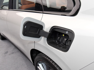 2024��530���{�� �������^