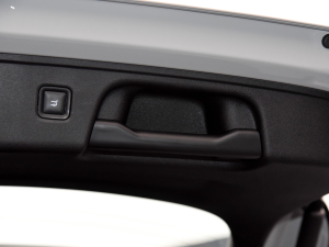 2024��530���{�� ���g����