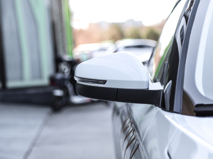 2019380 (bio)(zhn) (ji)^