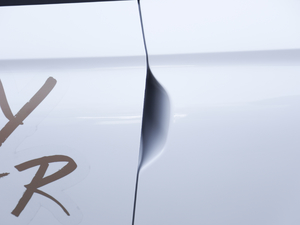 2019380 (bio)(zhn) (ji)^