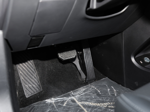 2019380 (bio)(zhn) п؅^(q)