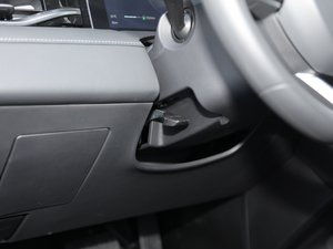 2019380 (bio)(zhn) п؅^(q)