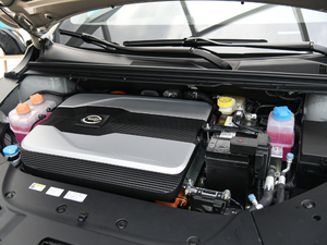 2019Max 630 l(f)(dng)C(j)