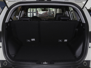 2020530 (lin)W(wng) g