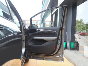 202070 PLUS I(lng) g