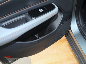 202070 PLUS I(lng) g