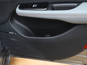 202070 PLUS I(lng) g