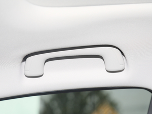 202070 PLUS I(lng) g