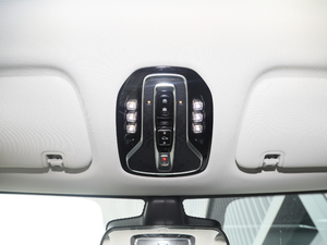 202070 PLUS I(lng) g