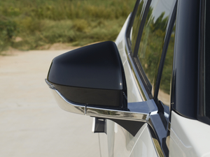 202080 I(lng) (x)(ji)^