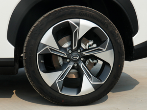 202080 I(lng) (x)(ji)^