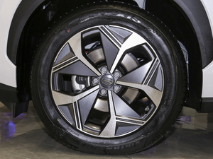 202060 I(lng) (x)(ji)^