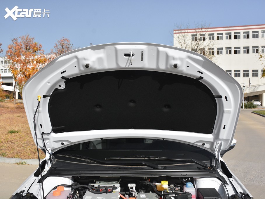 2020A(y)ion S(S)  630