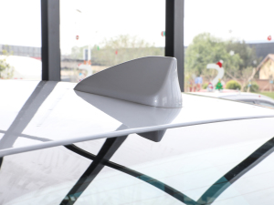 2020 580 И(bio)(zhn) (x)(ji)^