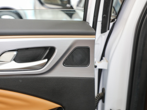 2020 580 И(bio)(zhn) g