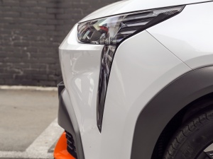 202170 I(lng) (x)(ji)^