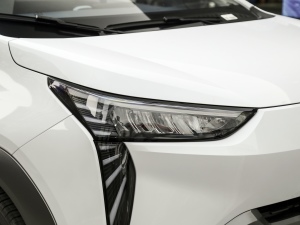 202170 I(lng) (x)(ji)^