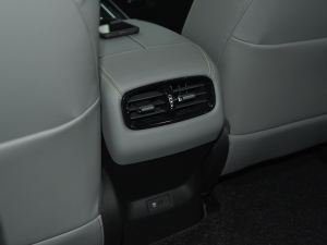 2021Plus 80 I(lng){ Ԫ g