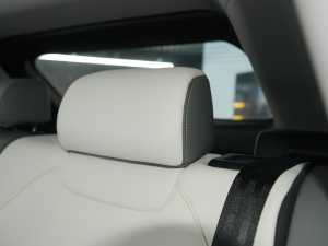 2021Plus 80 I(lng){ Ԫ g