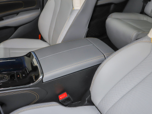 2021Plus 70 I(lng) F 