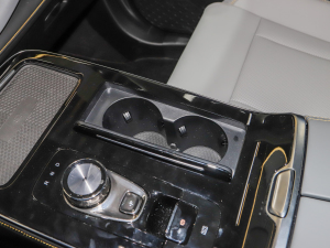 2021Plus 70 I(lng) F ǰű