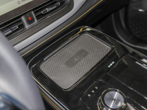 2021Plus 70 I(lng) F g