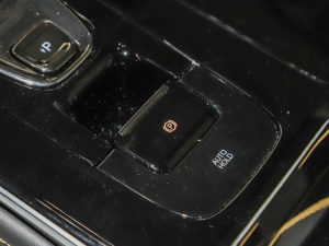 2021Plus 70 I F v܇Ƅ