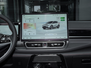 2021Plus 70 Ƽ F п_