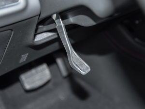 2021Plus 70 Ƽ F п؅^(q)