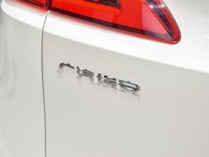 2021Plus 80 I(lng) Ԫ (x)(ji)^