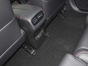 2021Plus 80 I(lng) Ԫ п؅^(q)