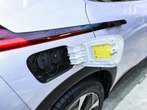 2021Plus 70  Ԫ (ji)^