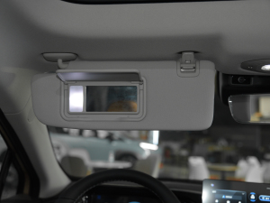 2021Plus 80 Ƽ ꖰ壨