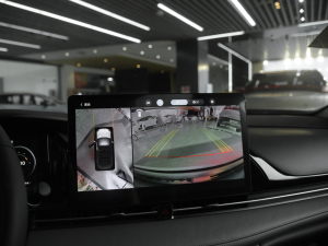 2021Plus 80 Ƽ п_@ʾ